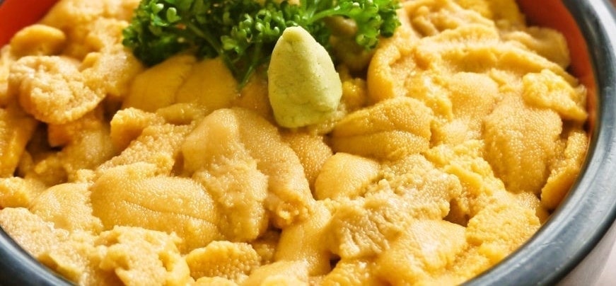 生ウニ丼